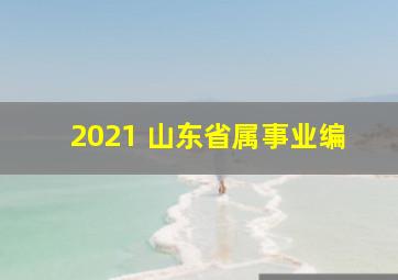 2021 山东省属事业编